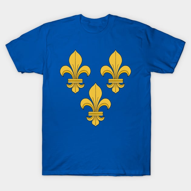 Fleur-de-lis T-Shirt by AzureLionProductions